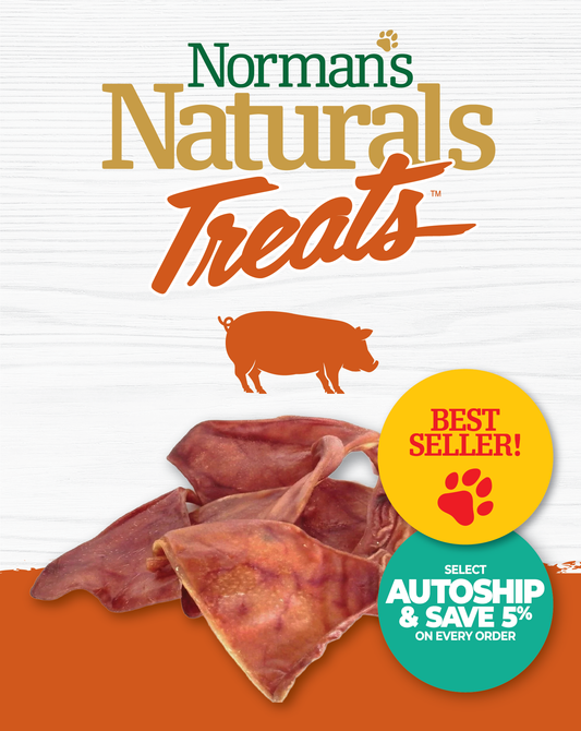 Norman's Naturals™ Treats Pigs Ear 1 Count