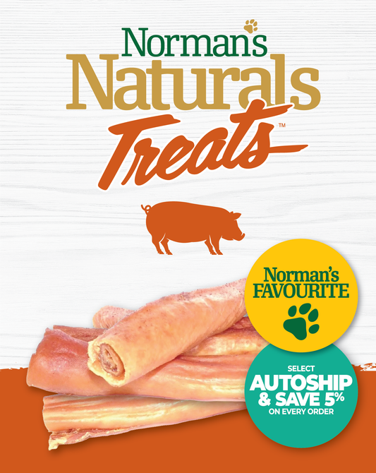 Norman's Naturals™ Treats Pork Roll - Large (1ct)