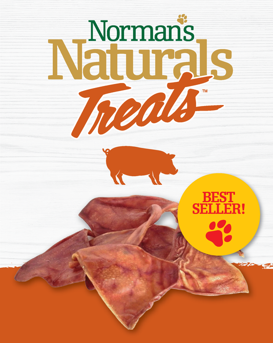 Norman's Naturals™ Treats Pigs Ear (1pc)