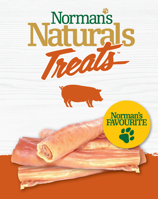 Norman's Naturals™ Treats Pork Roll - Large (1ct)